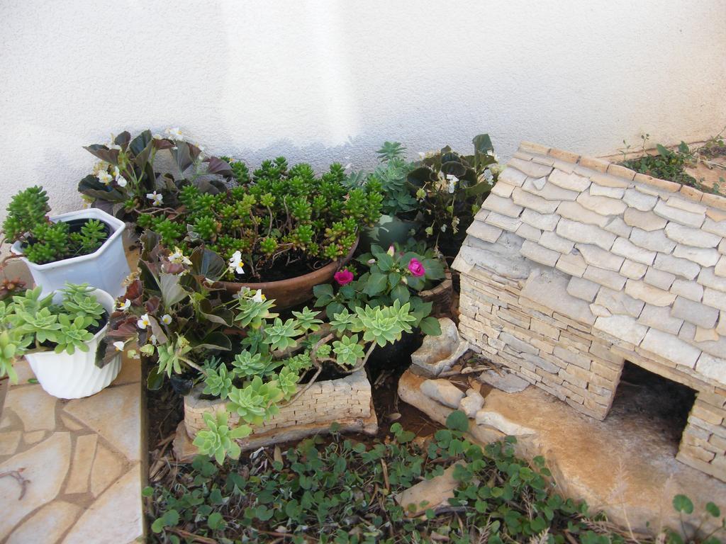 לומבארדה Apartments Maslina מראה חיצוני תמונה