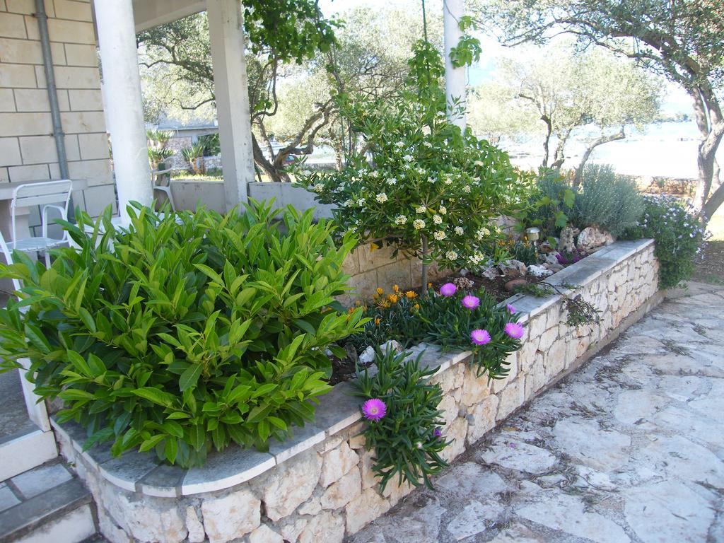 לומבארדה Apartments Maslina מראה חיצוני תמונה